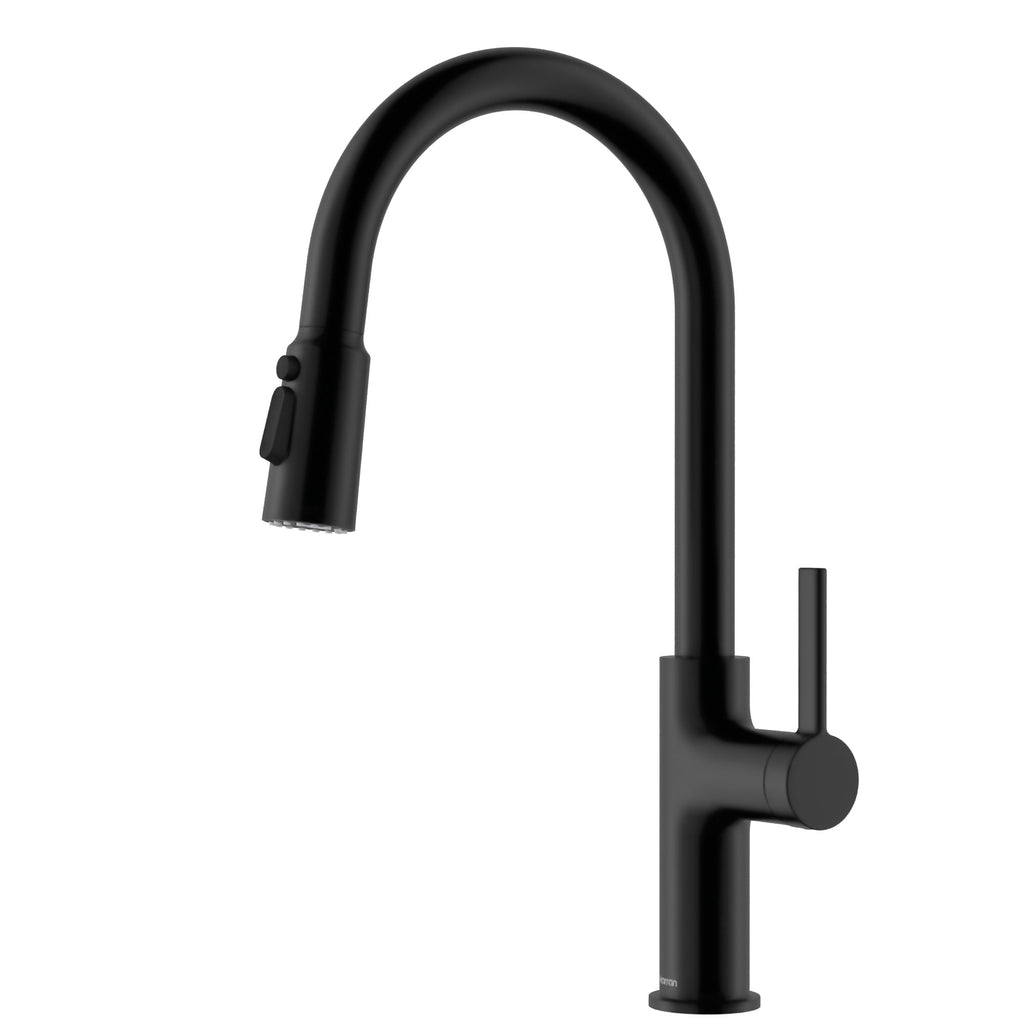 Stalbridge Single Handle Pull-Down Sprayer Kitchen Faucet In Matte Black