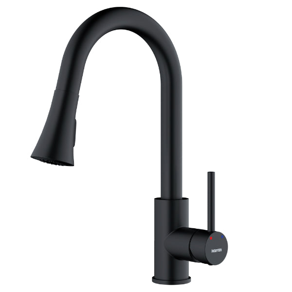 Weybridge Single Hole Single Handle Pull-Down Sprayer Kitchen Faucet In Matte Black