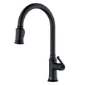 Auburn Single Hole Single Handle Pull-Down Sprayer Kitchen Faucet In Matte Black