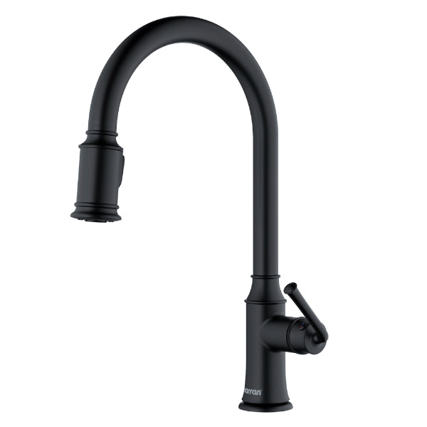 Auburn Single Hole Single Handle Pull-Down Sprayer Kitchen Faucet In Matte Black