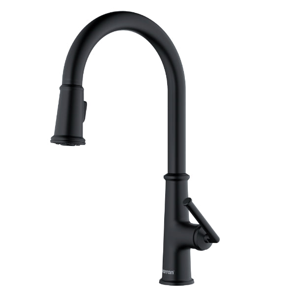 Elwood Single Hole Single Handle Pull-Down Sprayer Kitchen Faucet In Matte Black