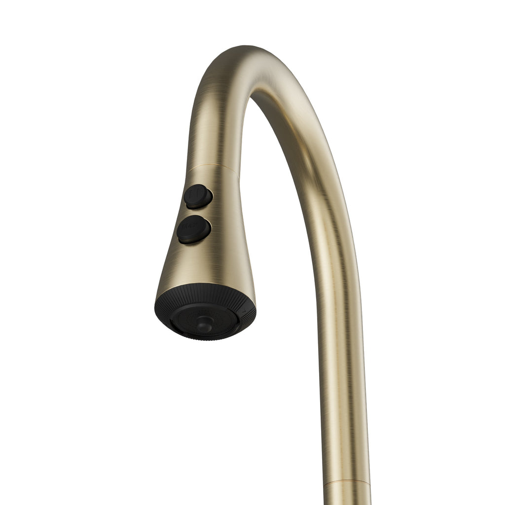 Faraday Pull-Down Sprayer Kitchen Faucet In Spot-Free Champagne Bronze