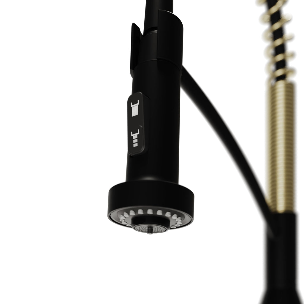 Scottsdale Single Handle Pull-Down Sprayer Kitchen Faucet In Matte Black & Spot-Free Brushed Gold