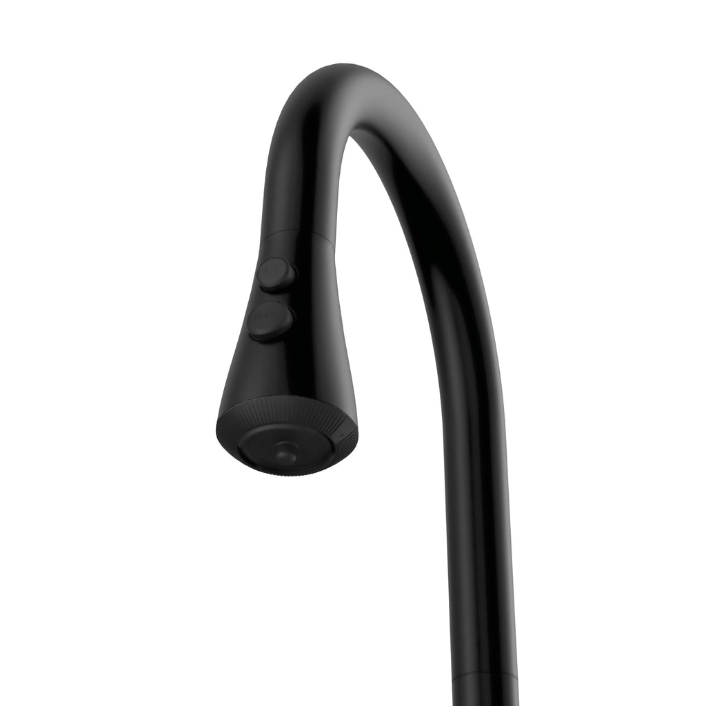Faraday Pull-Down Sprayer Kitchen Faucet In Matte Black